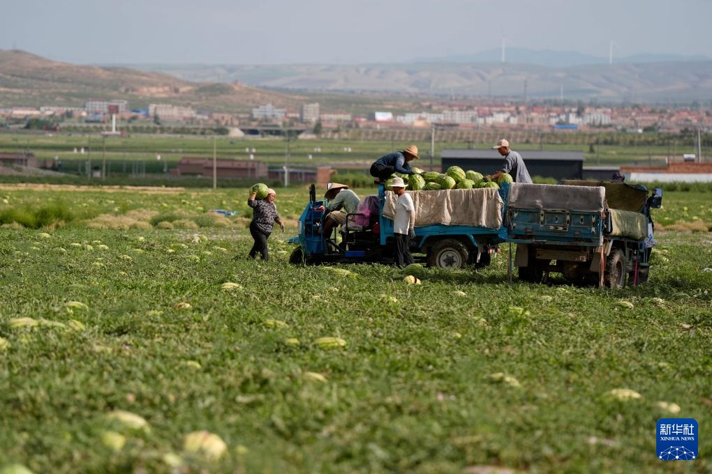 ???????? ???????: ???? ????? ???? ????? ?? ???????