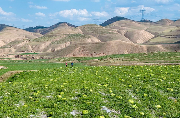 ???????? ???????: ???? ????? ???? ????? ?? ???????