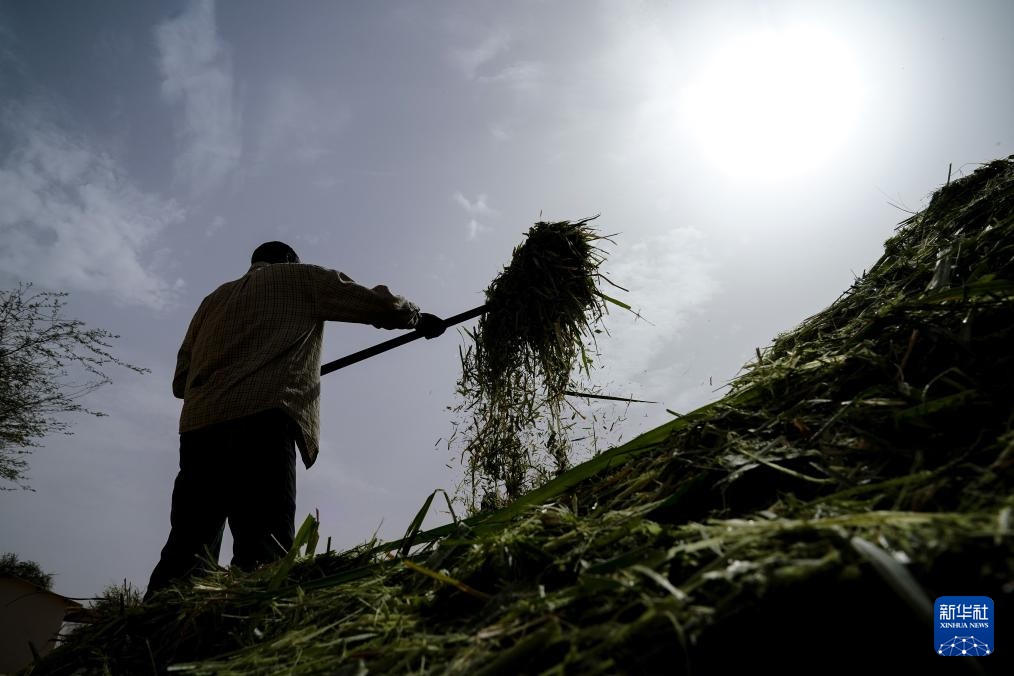 ??????????? ??????? ????? ??? ????? ????? ?????? ????????? ?? ?????????