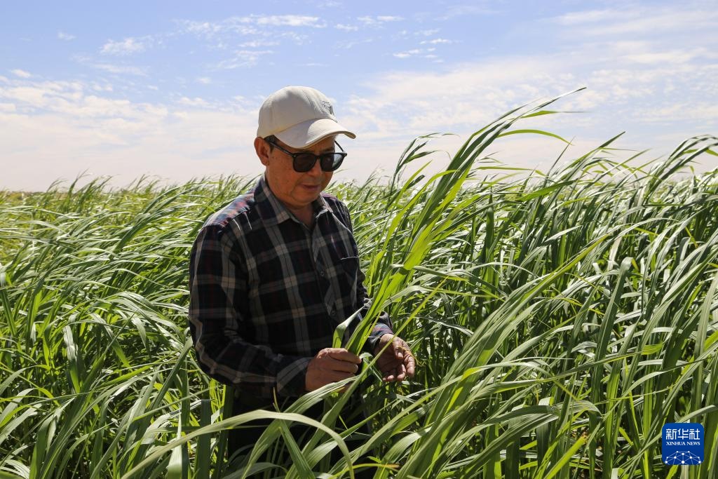 ??????????? ??????? ????? ??? ????? ????? ?????? ????????? ?? ?????????