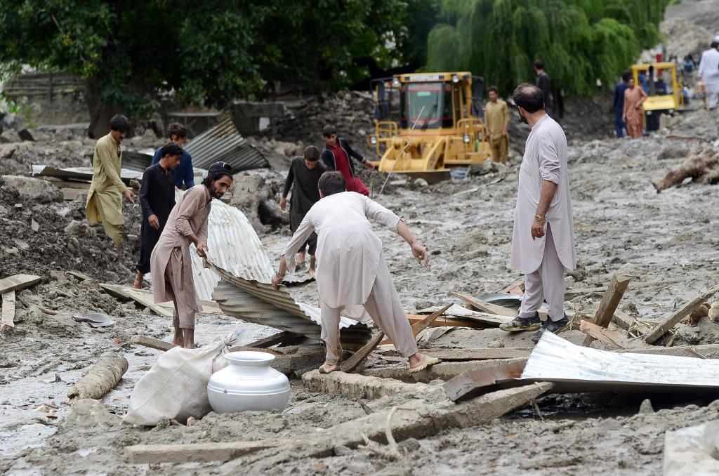 ???? 271 ???? ?????? 655 ????? ?? ????? ?????? ???????? ?? ??????? ??? 26 ?????