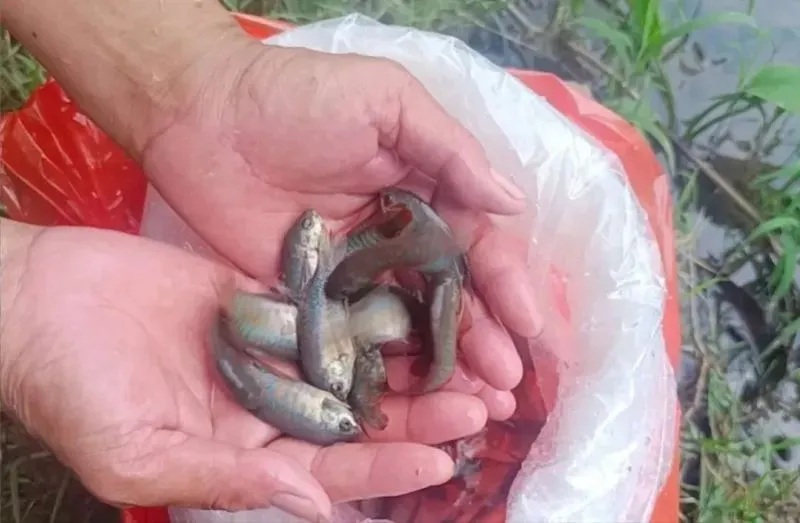 ????? ???? ???? ?? 5 ???? ???? ???? ????? ?????? ??????? ???????