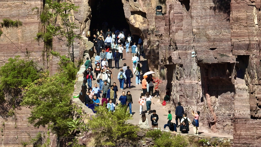 ???? ??????? ????????: ??? ?? ???????? ????? ??????? ?????? ?? ??????