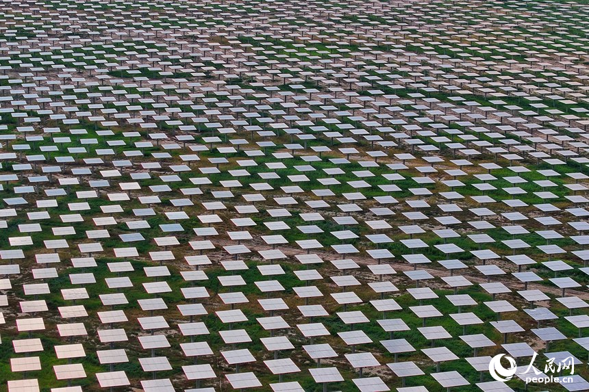 ???? ???? ?? ??????? ??? ????? ?????? ???????