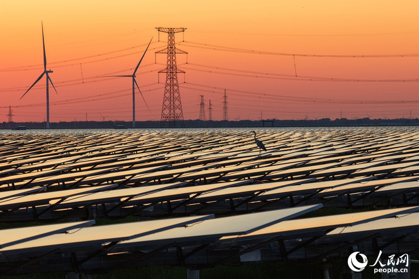 ???? ???? ?? ??????? ??? ????? ?????? ???????