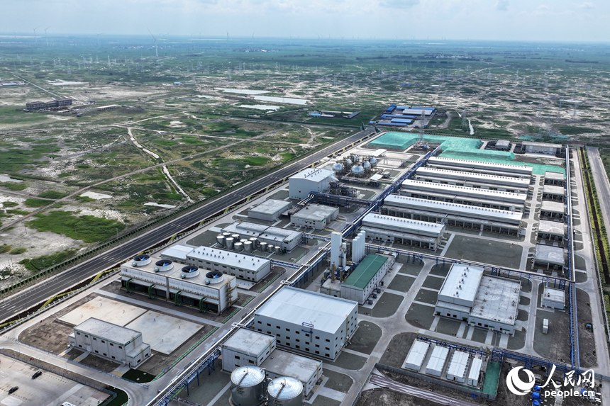 ???? ???? ?? ??????? ??? ????? ?????? ???????