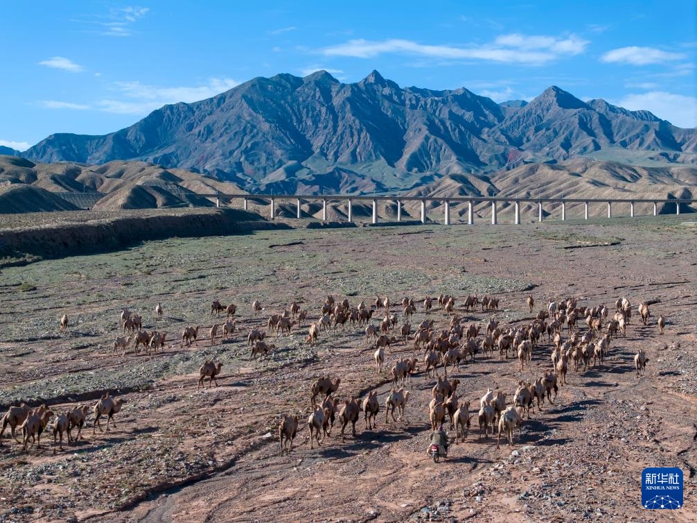 ???? ????? ???????...???? ????? ?? ????? ???? ?? ?????