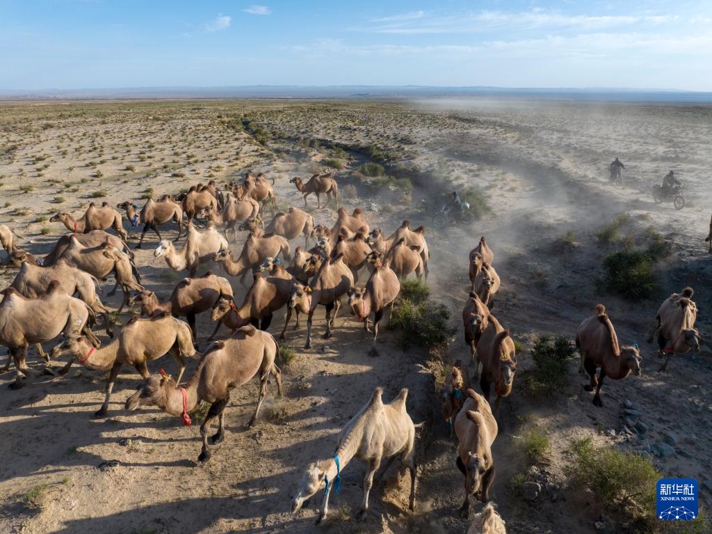 ???? ????? ???????...???? ????? ?? ????? ???? ?? ?????