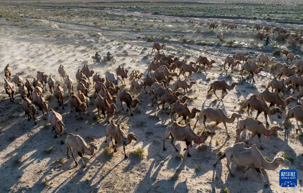 ???? ????? ???????...???? ????? ?? ????? ???? ?? ?????