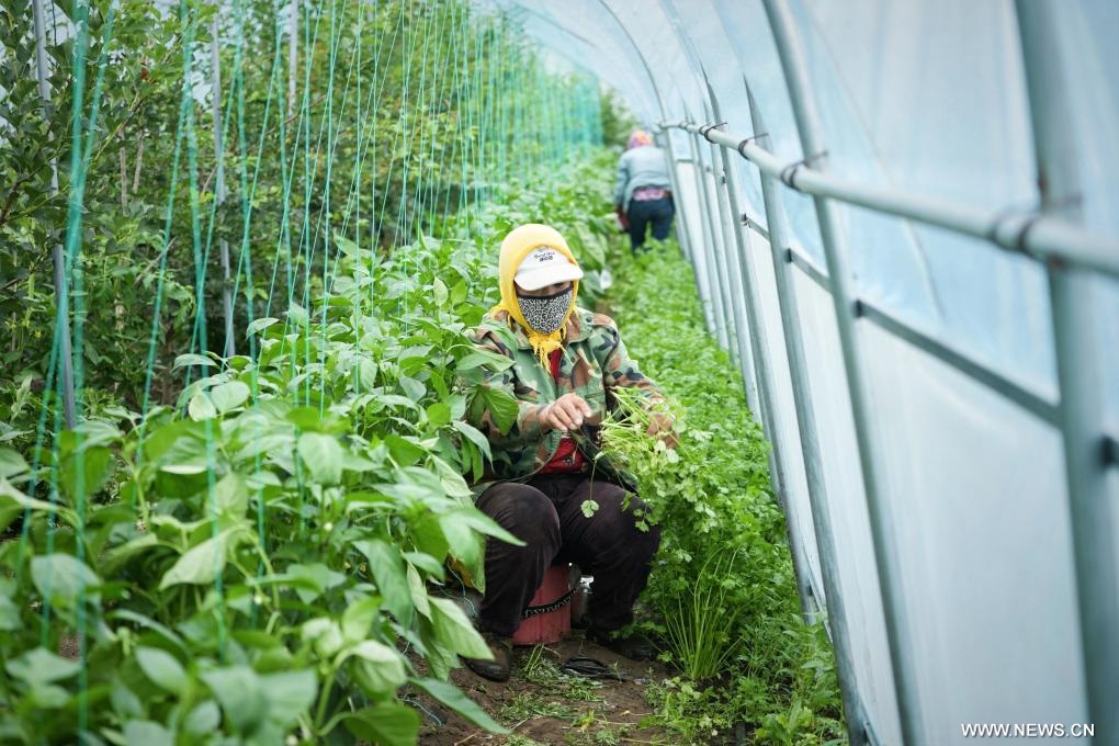 ????? ???????? ????? ??? ?????? ?????? ?? ????? ?????