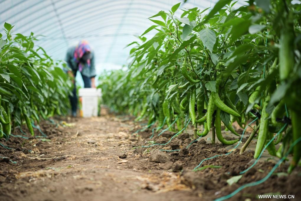 ????? ???????? ????? ??? ?????? ?????? ?? ????? ?????