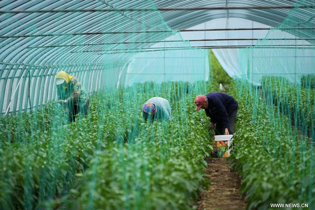 ????? ???????? ????? ??? ?????? ?????? ?? ????? ?????