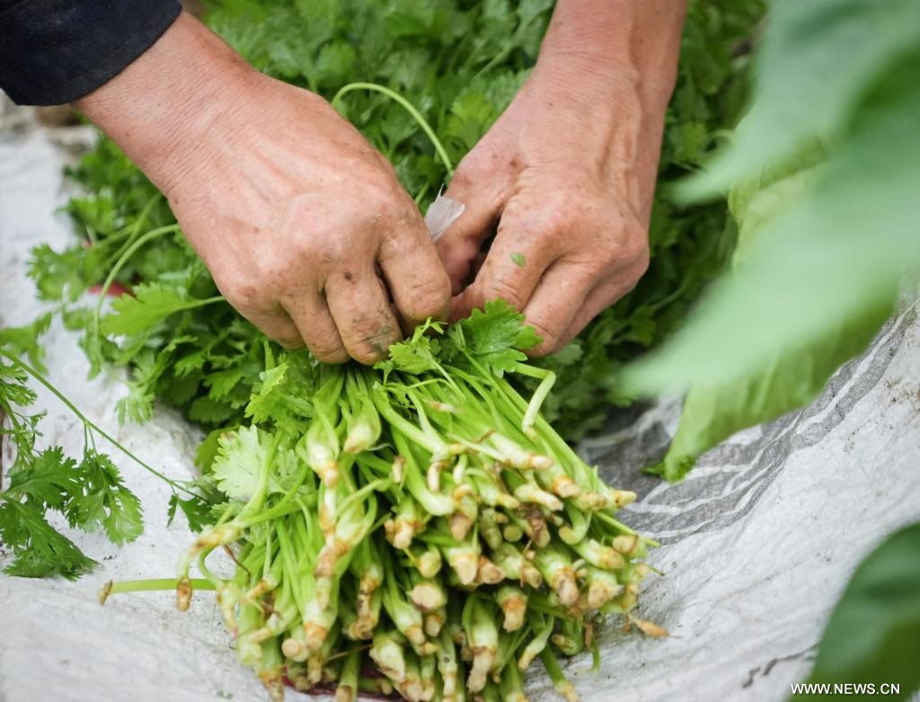 ????? ???????? ????? ??? ?????? ?????? ?? ????? ?????