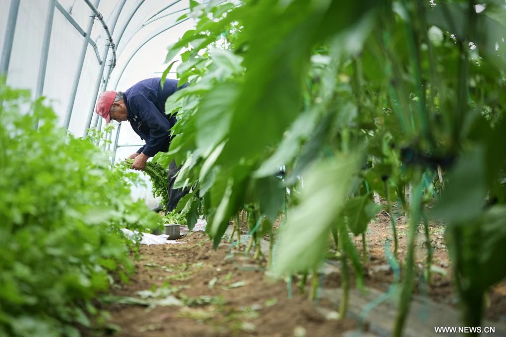 ????? ???????? ????? ??? ?????? ?????? ?? ????? ?????