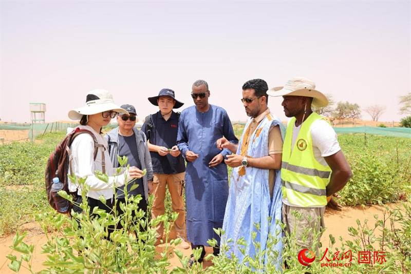 ????? ??????: ??????? ??????? ????????? ??????????? ??????? ?? ????????? .. ????? ???? ??????? ??????? ?? ???????