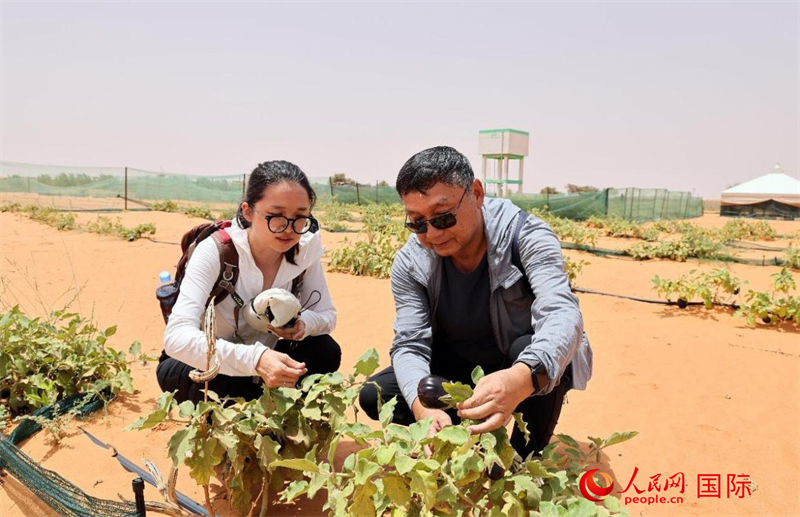 ????? ??????: ??????? ??????? ????????? ??????????? ??????? ?? ????????? .. ????? ???? ??????? ??????? ?? ???????