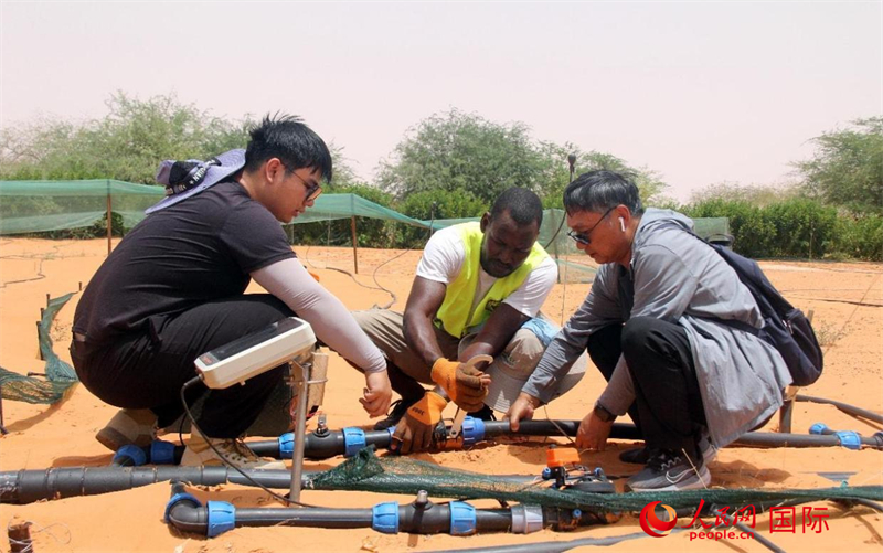 ????? ??????: ??????? ??????? ????????? ??????????? ??????? ?? ????????? .. ????? ???? ??????? ??????? ?? ???????