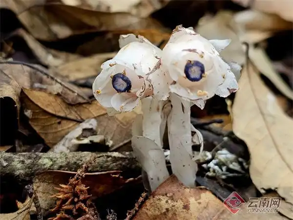 ???? ????? ???? ????? ??????...???? ???? ???? ??? ???? ?????? ?????? ???????