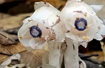 ???? ????? ???? ????? ??????...???? ???? ???? ??? ???? ?????? ?????? ???????