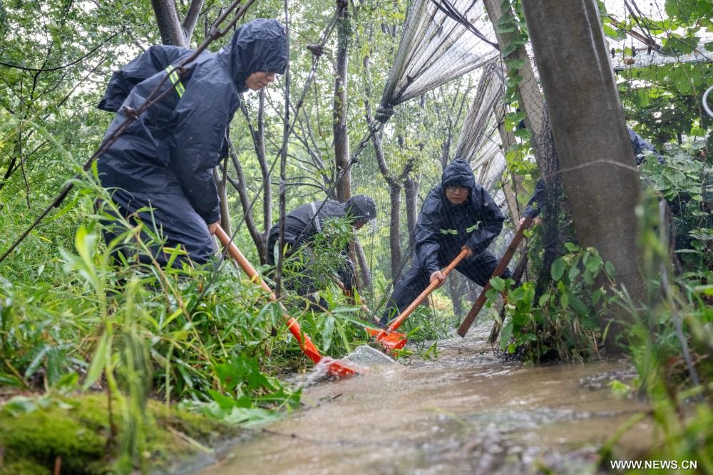 ?????? ??????? ???????