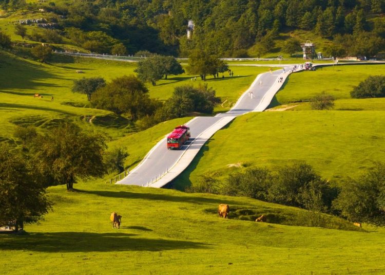 ????? ???????? ????? ?????? ???? ??????? ??????? ?? ??????????