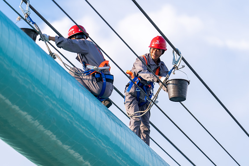 ???? ??? ????? ??? ?? ?????? ?????? ???? ?????? 98%