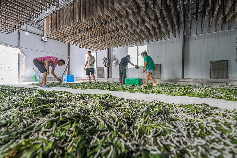 ??????? ??????: ???? ???? ???? ???? ?????? ??? ?????? ???????