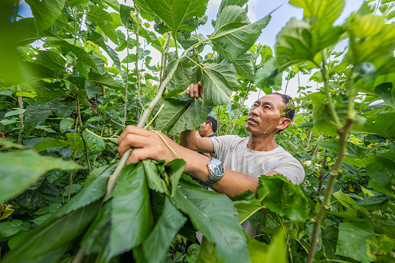 ??????? ??????: ???? ???? ???? ???? ?????? ??? ?????? ???????