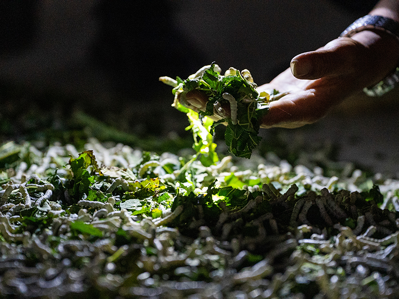 ??????? ??????: ???? ???? ???? ???? ?????? ??? ?????? ???????