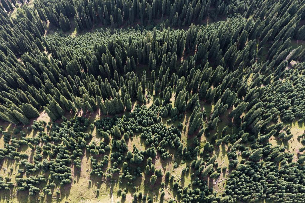 ??????: ????? ????? ?????? ?????? ?? ????? ????????