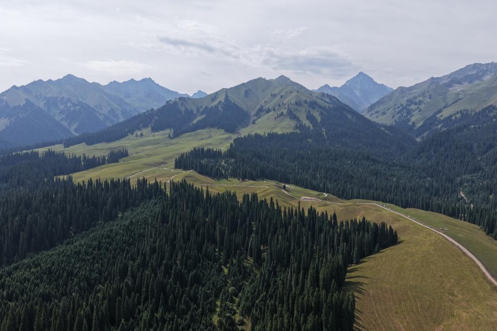 ??????: ????? ????? ?????? ?????? ?? ????? ????????