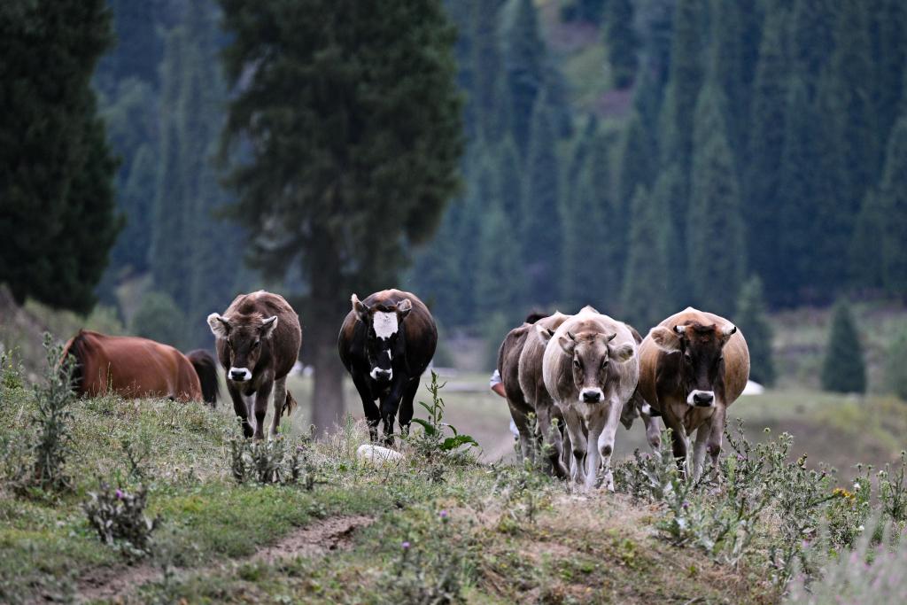 ??????: ????? ????? ?????? ?????? ?? ????? ????????