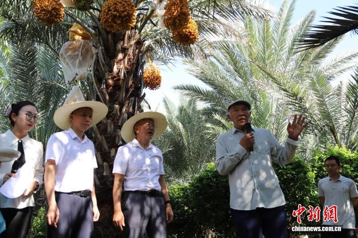 ????? ??????? ??????? ? ?????????? ???? ?? ????? ?????????? ?????? ??????