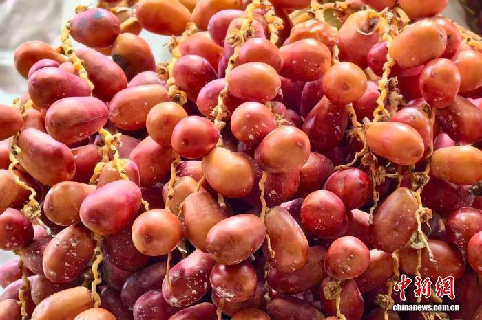 ?? ????? ????? ???? ????? ????????? ?? ?????????? ??????? ????? ?????? ??? ????? ??????.