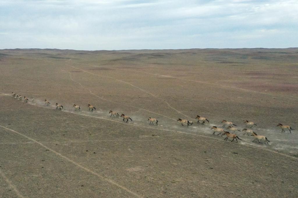 ??? ????? ???? ?? ???? ?????... ????? ????? ??? ???? ????????? ?? ??????