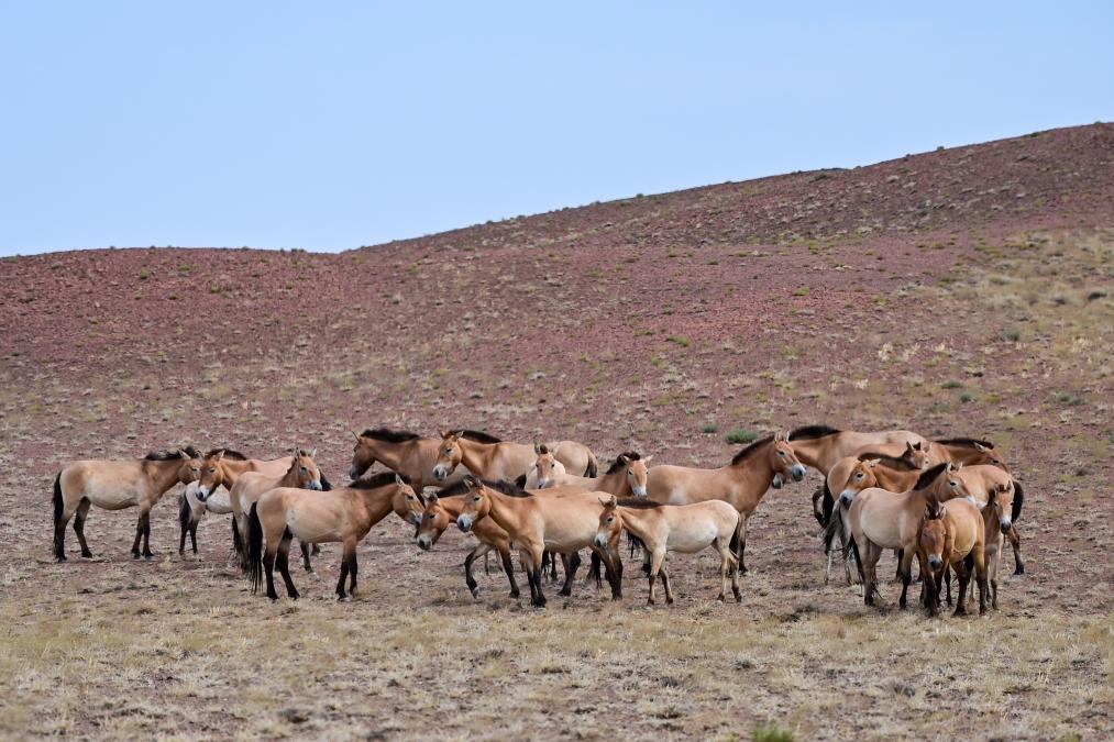 ??? ????? ???? ?? ???? ?????... ????? ????? ??? ???? ????????? ?? ??????