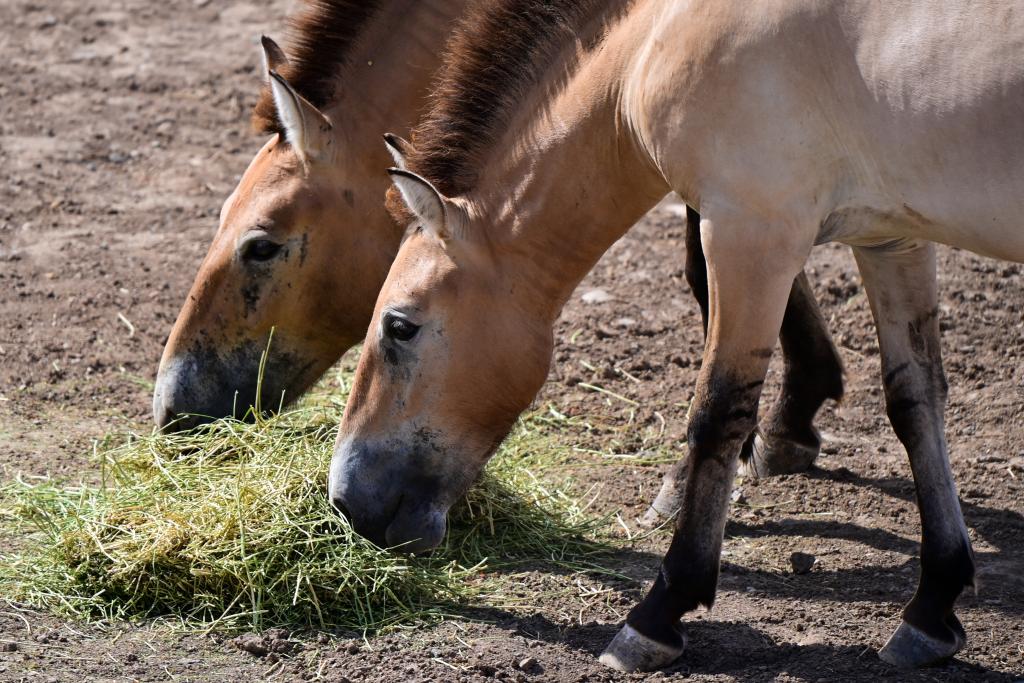 ??? ????? ???? ?? ???? ?????... ????? ????? ??? ???? ????????? ?? ??????