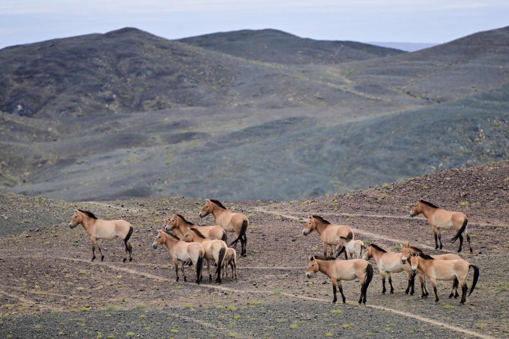 ??? ????? ???? ?? ???? ?????... ????? ????? ??? ???? ????????? ?? ??????