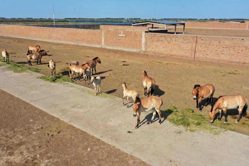 ??? ????? ???? ?? ???? ?????... ????? ????? ??? ???? ????????? ?? ??????