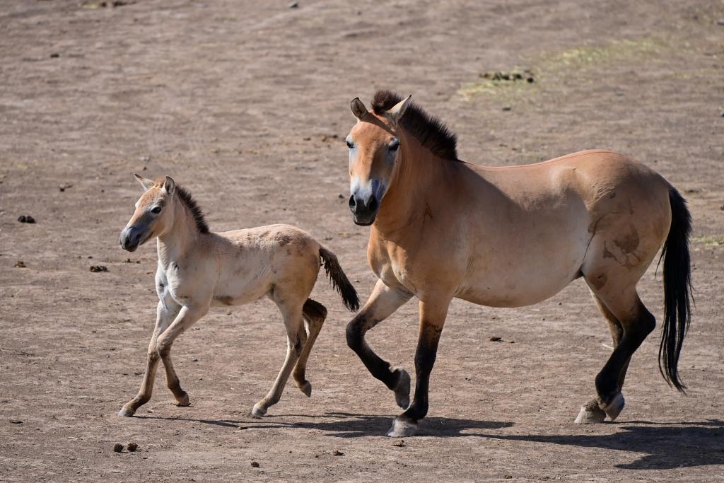 ??? ????? ???? ?? ???? ?????... ????? ????? ??? ???? ????????? ?? ??????