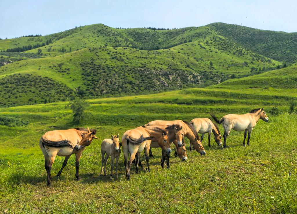 ??? ????? ???? ?? ???? ?????... ????? ????? ??? ???? ????????? ?? ??????