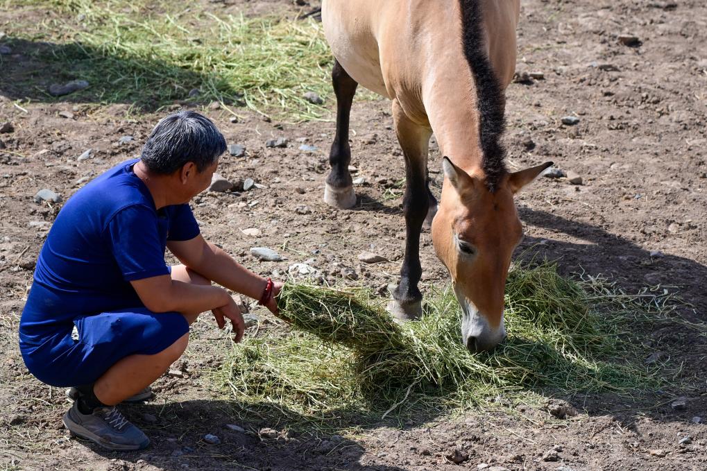 ??? ????? ???? ?? ???? ?????... ????? ????? ??? ???? ????????? ?? ??????