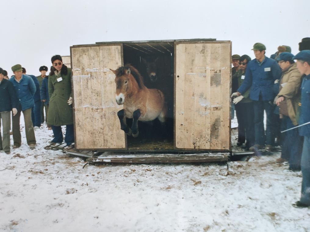 ?? ??? 1986? ?? ??? 11 ????????? ??? ????? ???????? ???????