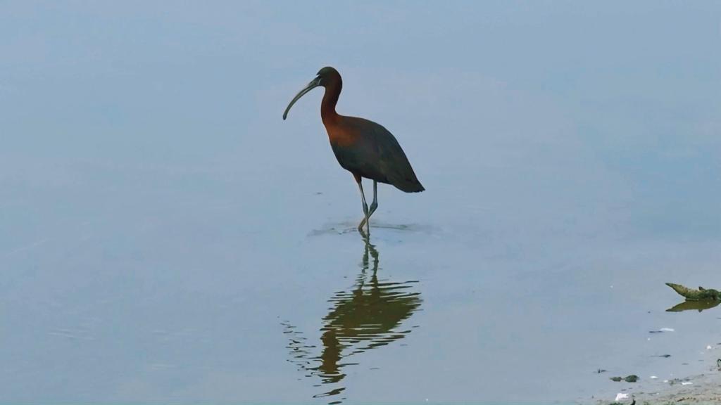 ???? ??? ???? ?????? ?????? ???? ??? ??????? ?????? ?? ????? ????? ??? ???? 15 ????