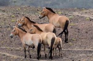 ??? ????? ???? ?? ???? ?????... ????? ????? ??? ???? ????????? ?? ??????