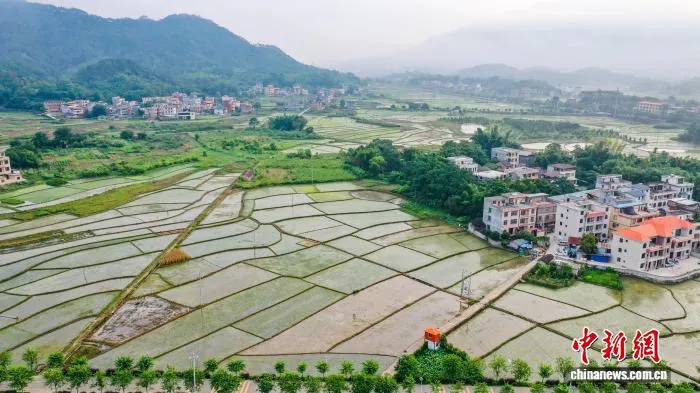 ?????? ?????? ???????? ?? 