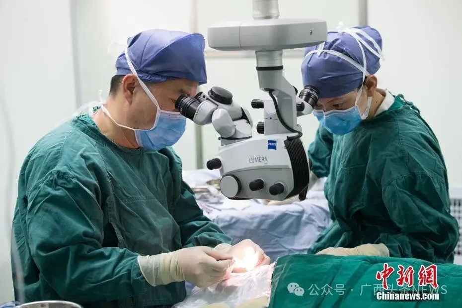 ?????? ?????? ?????????? ?????? ?????? ???? 2025