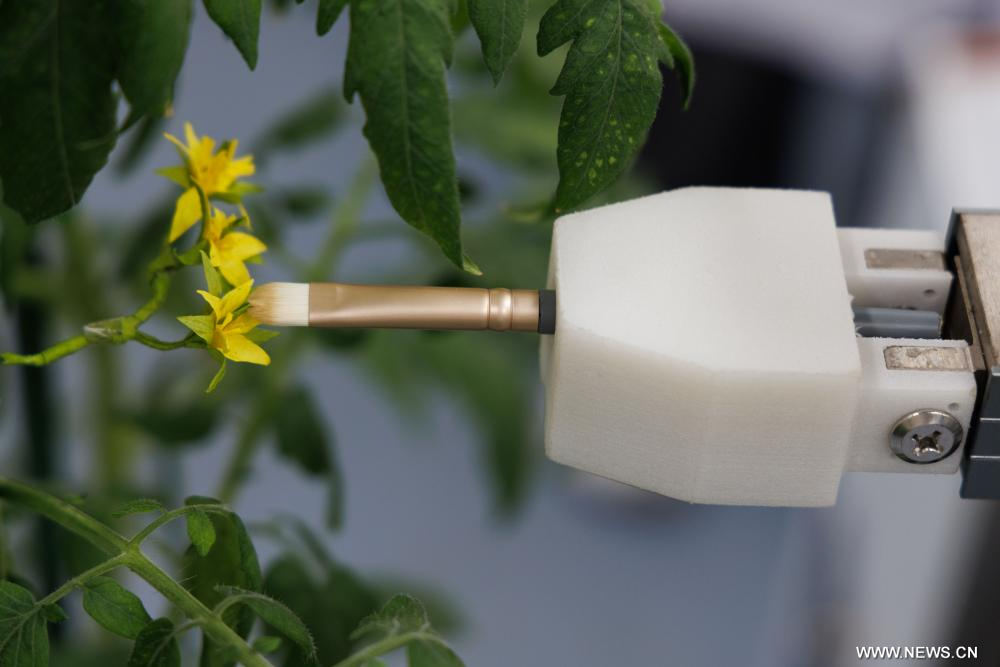 ?????: ????? ?????? ?????? ??? ????? ??? ?? ?????? ?????? ????? ????? ?????