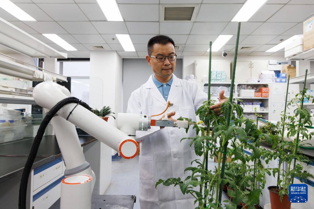 ????? ???? ?? ??? ?????? ??? ?? ??????