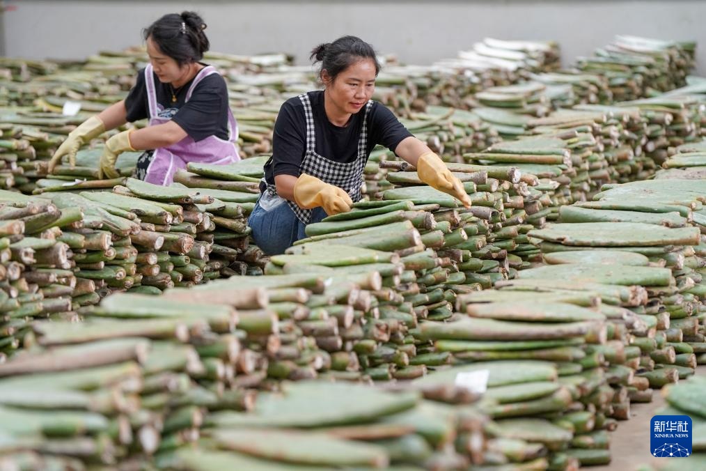 ????? ?????? ???? ????? ????? ???? ?????? ??????